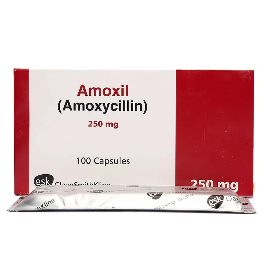 Amoxicilina (amoxicilina)